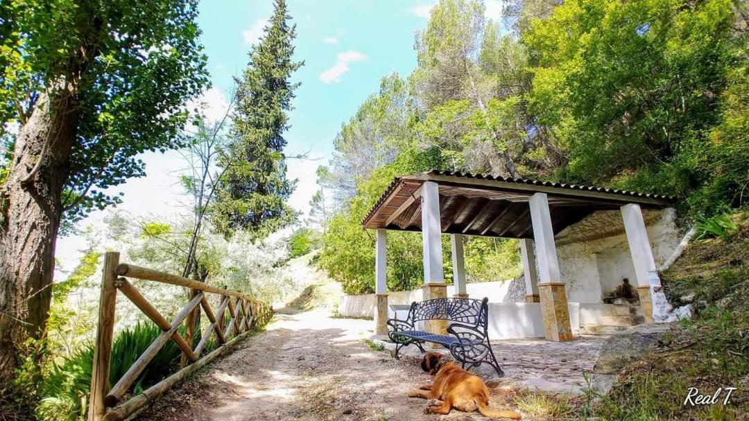Alojamiento Rural El Penon De Hornos Εξωτερικό φωτογραφία