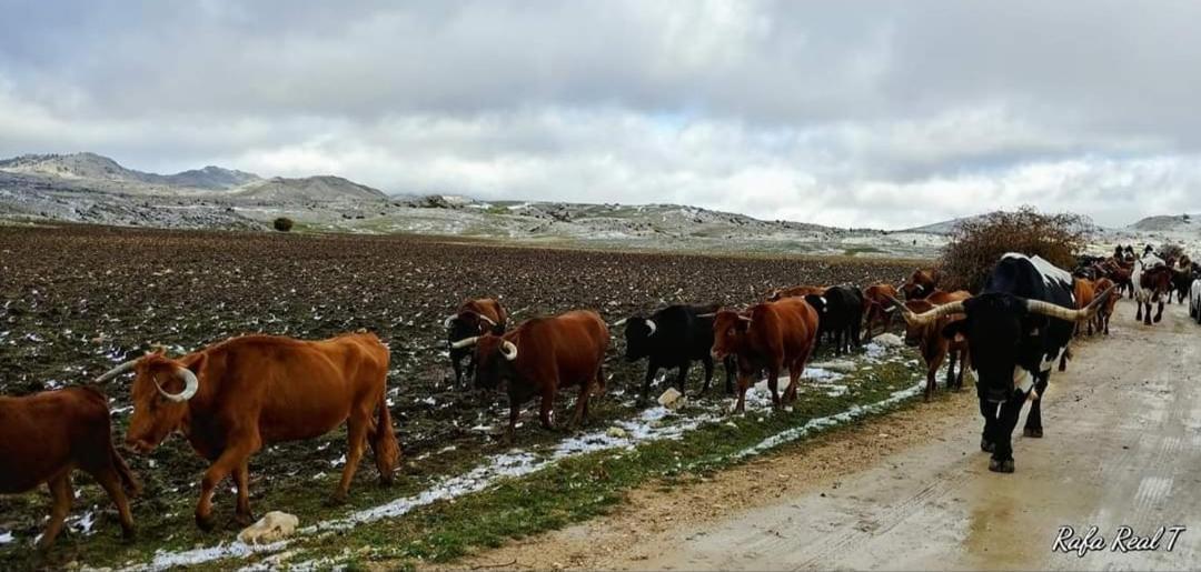 Alojamiento Rural El Penon De Hornos Εξωτερικό φωτογραφία